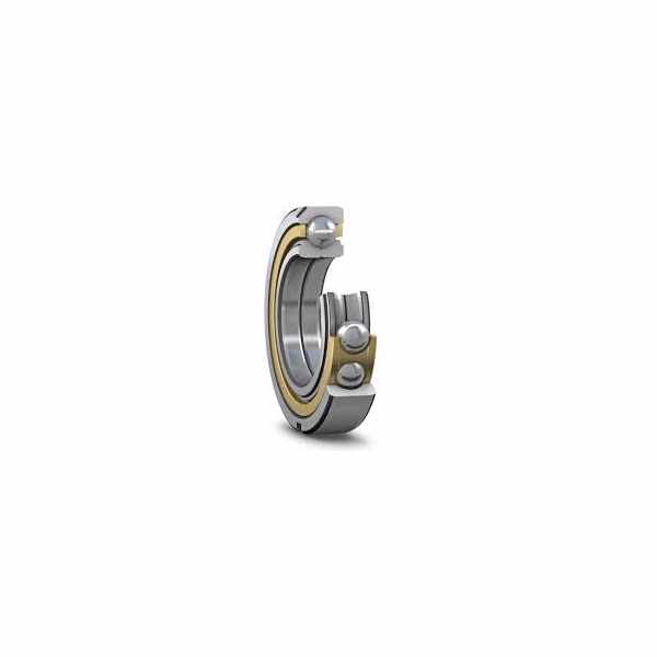 Four Point Contact Ball Bearing