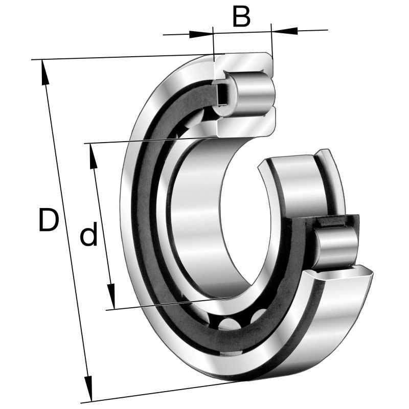 Cylindrical Roller Bearing with Cage (assembly)